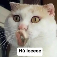 bà này bà lười mang tính