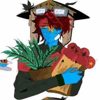 Mattran/Mặt trận (MTDTGPMNVN)