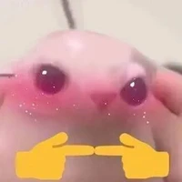 Tác giả 🥸🫰