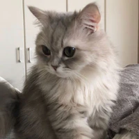 Khói
