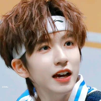 Hạ Tuấn Lâm(em)