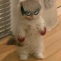 Bum của tôi đâu?