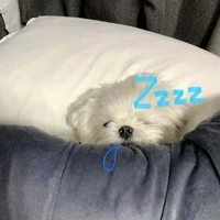 tổng tài sai đẹp chiêu 😋