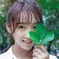 Tuyên Lộ