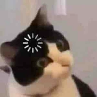 Con au ngáo lone