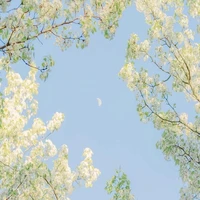 thần xuyên không