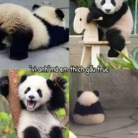 Nhỏ t/g