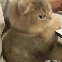 tg thắng đời 1-0