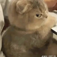 tg thắng đời 1-0
