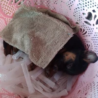 bạn tg