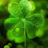 Những nhân vật khác( có thể là 1 người)