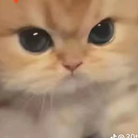 T/g