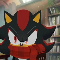 Shadow