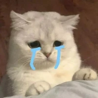 Lynne ( Tác giả )