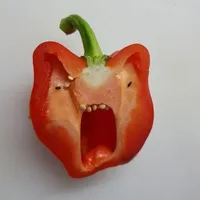 conghet_anotchuong