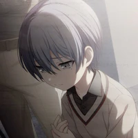 Toya
