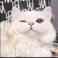 người tạo chuyện