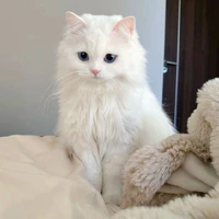 Hana