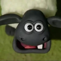 Nhí đu RhyCap