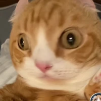 đừng hỏi t/g chap đâu 