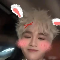 Hoàng Đức Duy ( dạng thỏ)