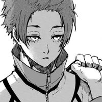 sae