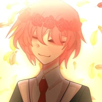TT hiha