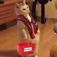 Hệ thống cốt truyện 