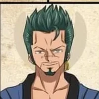 Roronoa Arashi