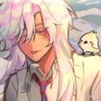 hiha hologram