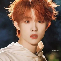 Tô Tân Hạo