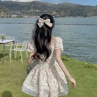 Huỳnh Vũ Di ( út)