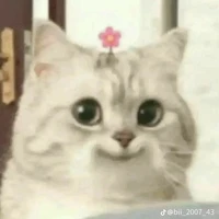 all