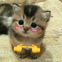 đám con gái trong lớp