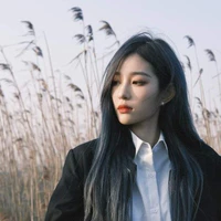 vương dịch
