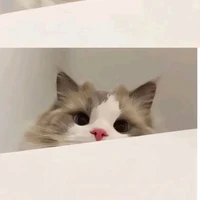 all