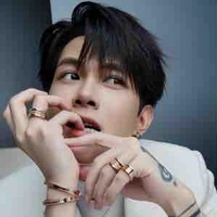 Bùi Anh Tú (Anh Tú Atus)