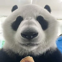 bà Pit nè trời:)))
