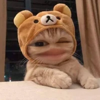 t/g🐽