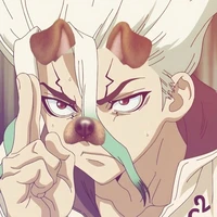 vo nho senku.