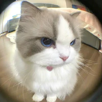 kinuu