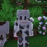 DonMC