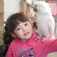 Lee Dain