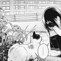 All - Đa nhân vật.