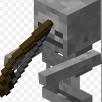 skikelerton minecraft