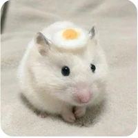tác giả