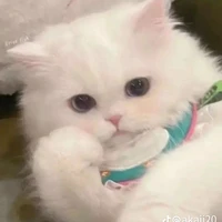 mi