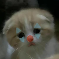 tác giả rất tồi🤡☺️😏🤨