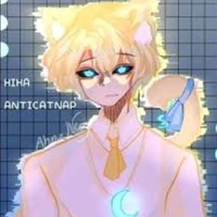 hiha anti catnap