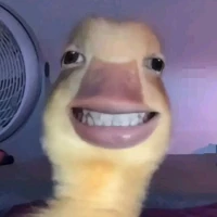 Con bé tác giả 🙆